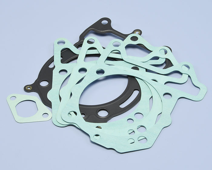 Polini Serie Guar. Piaggio Leader 4T H2O - codice 209.0434