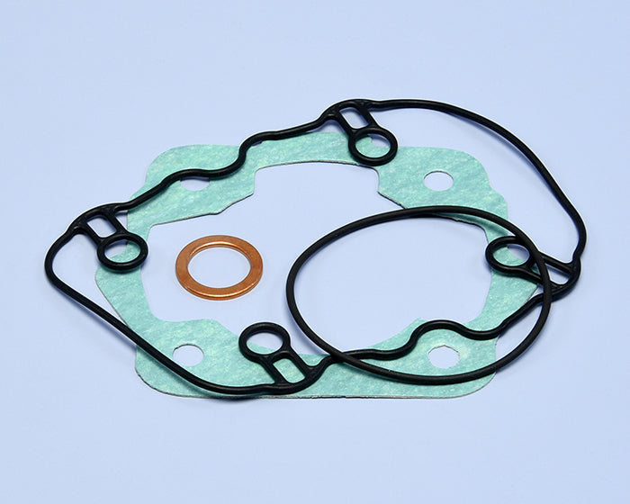 Polini Serie Guar. Derbi Senda D.50 - codice 209.0446