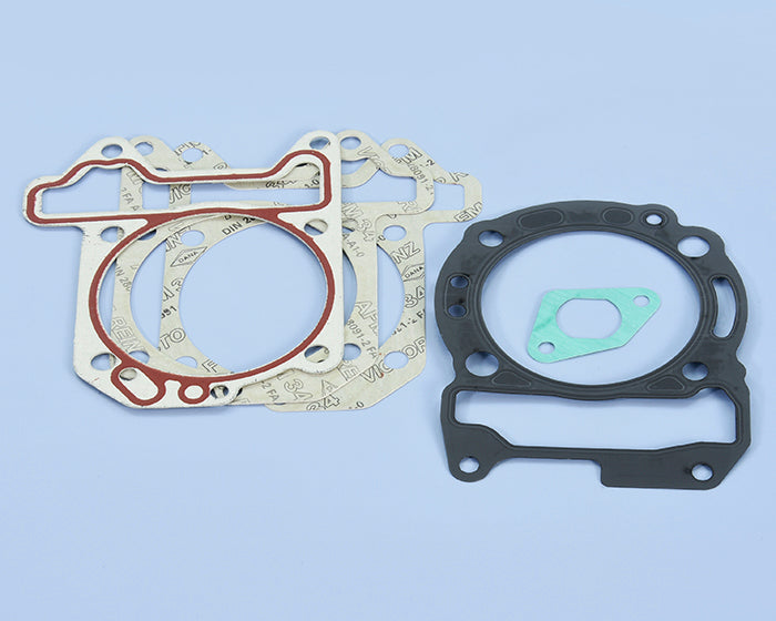 Polini Serie Guar. Piaggio/vespa 300 D.77 - codice 209.0479