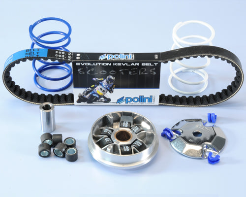 Polini Kit Variatore Peugeot 50 Ludix - codice 241.632.1
