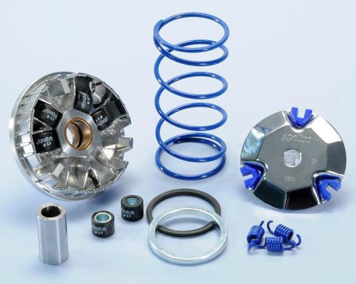 Polini Var.hi-speed Yamaha-minarelli Oriz. - codice 241.670