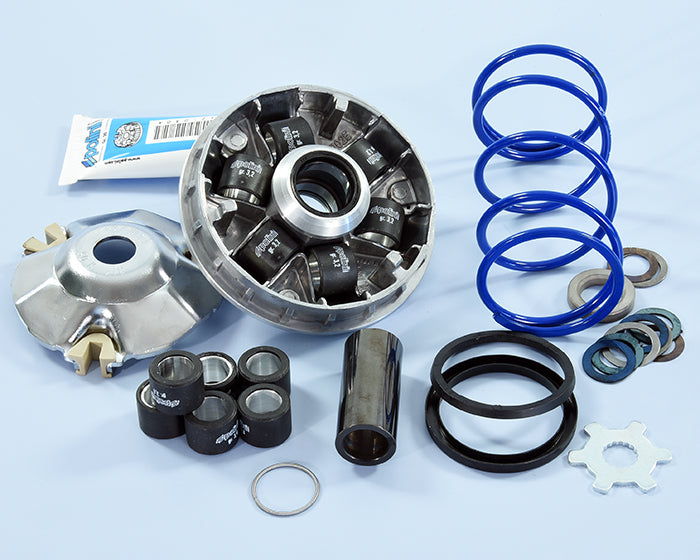 Polini Var.hi-sp.yamaha Evo.2 D.16-12,5gr - codice 241.748