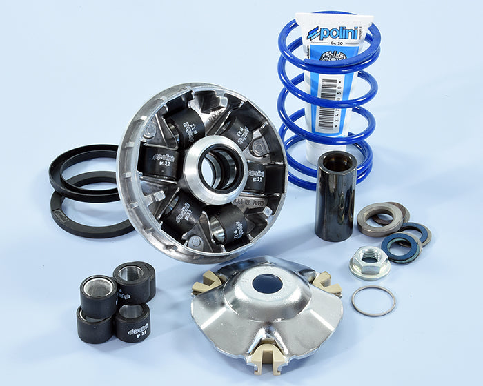 Polini Var.hi-speed Piaggio Evolut.2 14,8 - codice 241.750