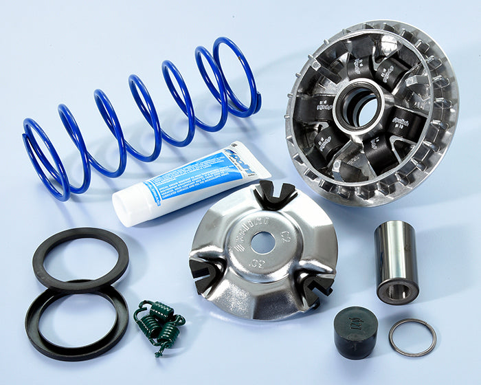 Polini Var.hi-s.honda Sh 125/150i Abs E5 - codice 241.755