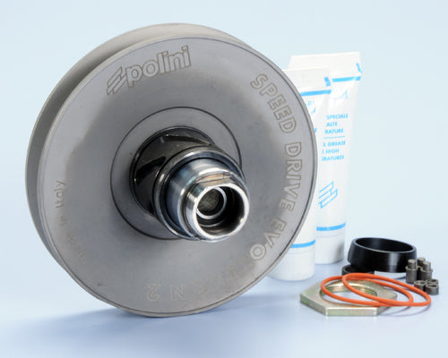 Polini Kit Puleggia Condotta Piaggio-gil. - codice 244.572