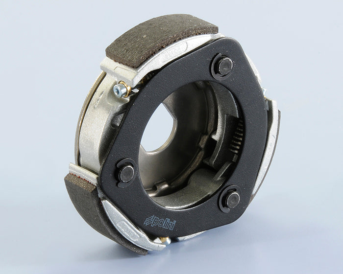 Polini Frizione Vespa 125 Lx 3V Ie F.race - codice 249.059