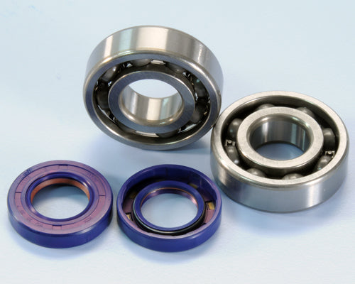 Polini Kit Revis. For Race Albero Motore Derbi - codice 282.0004