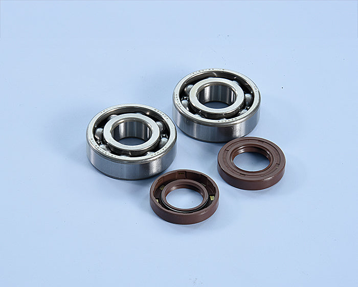 Polini Kit Revis. Original Albero Motore Derbi - codice 282.0204