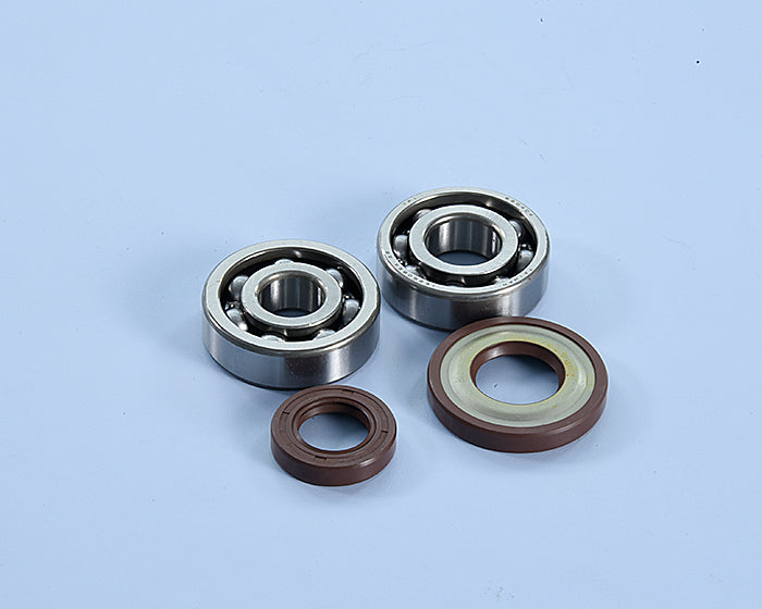 Polini Kit Revis. Original Albero Mot.vespa D.19 - codice 282.0205