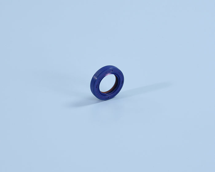 Polini Paraolio Ptfe Piaggio Lato Variat. - codice 285.0132
