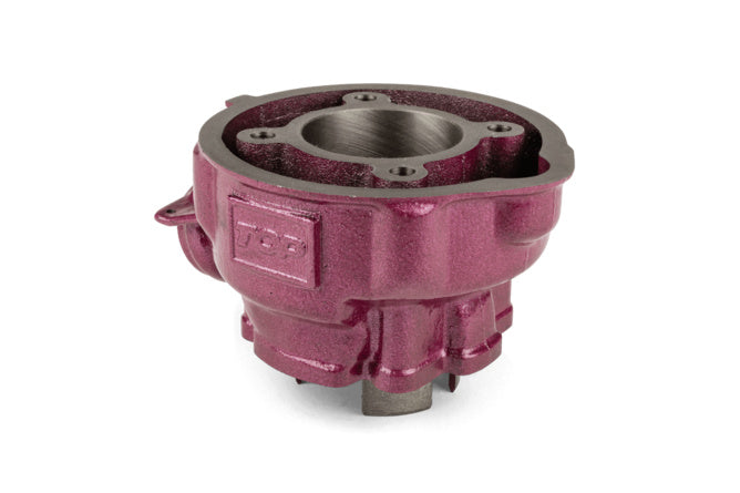 Gruppo Termico Top Performance75cc Due Plus Ghisa AM6
