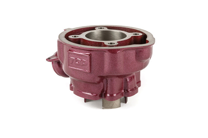 Gruppo Termico Top Performance75cc Due Plus testa modulare AM6