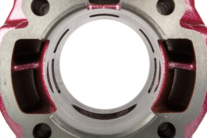 Gruppo Termico Top Performance75cc Due Plus testa modulare AM6