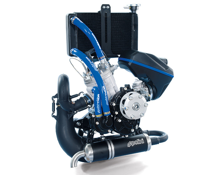 Polini Motore Thor 202 Tryton - codice 928.000.094