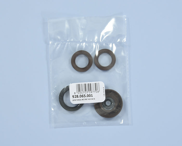 Polini Serie Paraoli Motore Thor 100/130 - codice 928.065.001