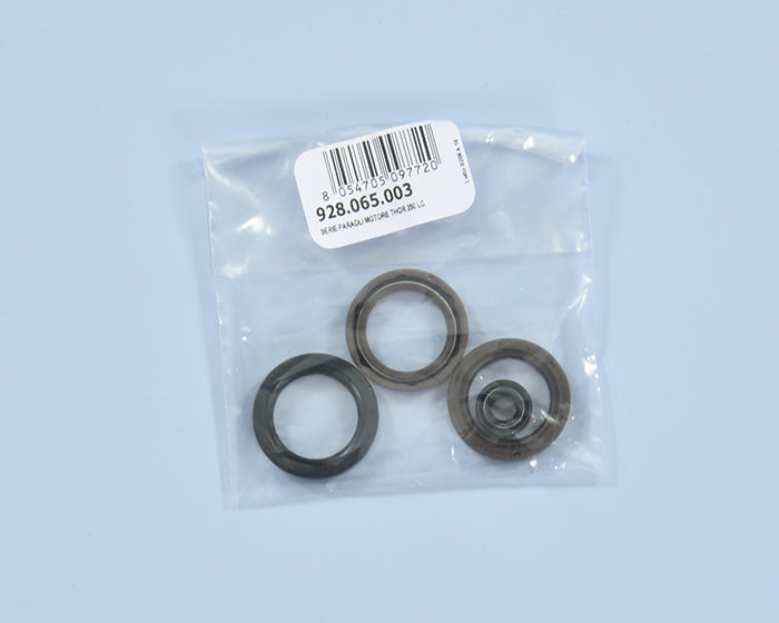 Polini Serie Paraoli Motore Thor202/250 Lc - codice 928.065.003