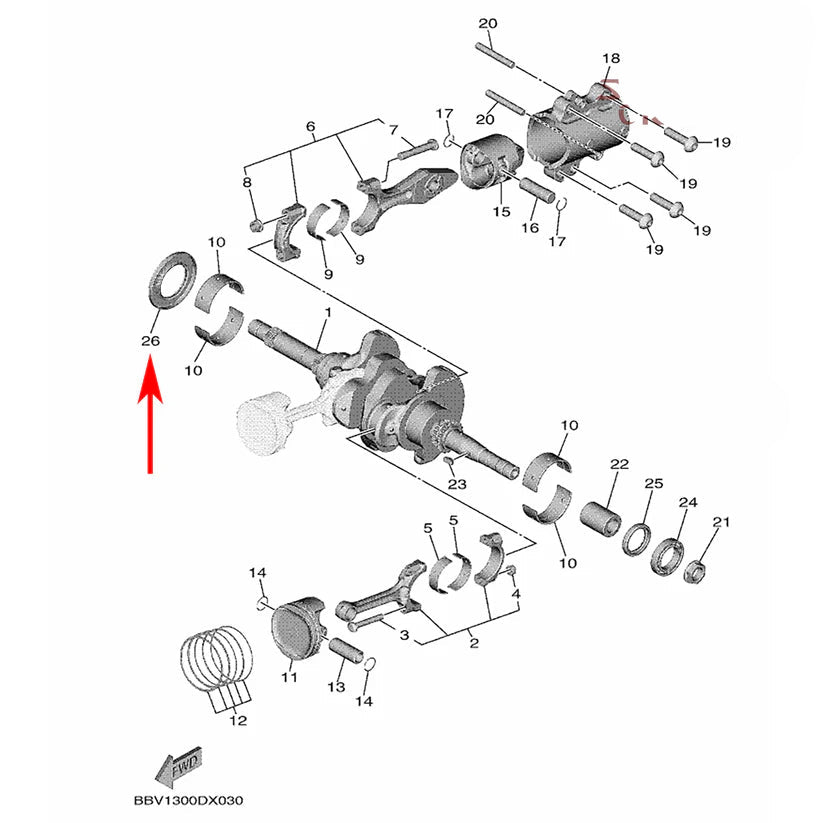 PARAOLIO ALBERO MOTORE 44x75x6 ORIGINALE T-MAX 500 530 560 YAMAHA 93102-44008-00