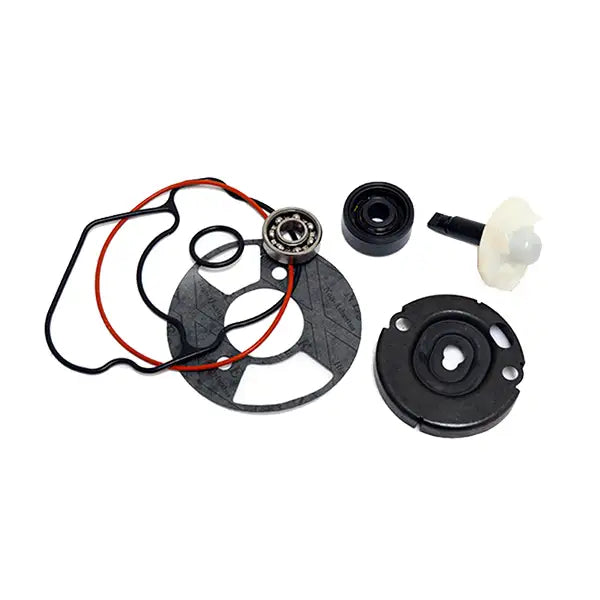Revisione Pompa Acqua Yamaha Xenter 125/150 2015 2016 Top Performances AA00832