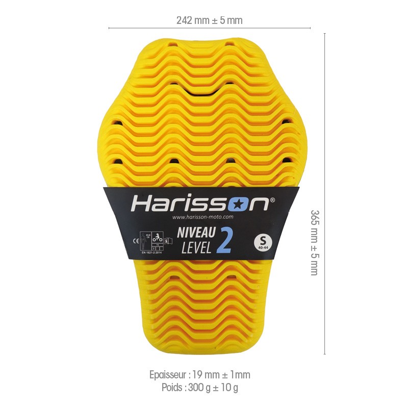 DORSALES EVO