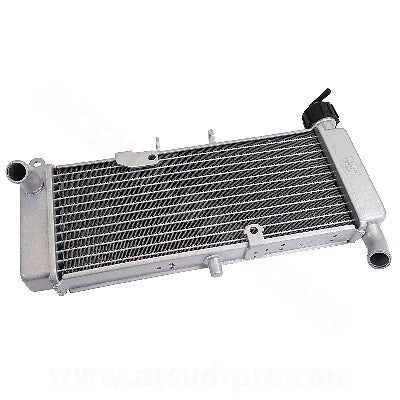 RADIATORE APRILIA RS 50 / 125 2017-2020 / TUONO 2017 OEM: 867334 / 8673345